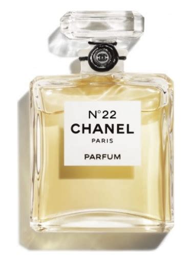 chanel 22 where to buy|buy chanel 22 perfume online.